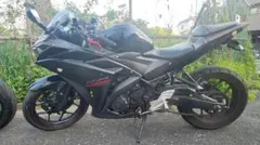 2018年 YZF-R25 RG43J型のサムネイル