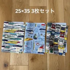 25×35 電車3種のランチョンマット