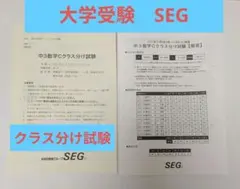 2026年最新】クラス分け segの人気アイテム - メルカリ