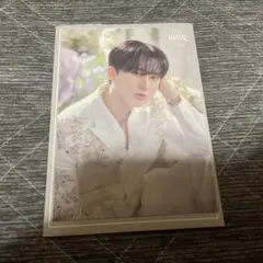 チャンビン ランダムトレカ Stray Kids スキズ MANIAC