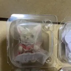 予約　フェネックの赤ちゃん　どきどきコレクション