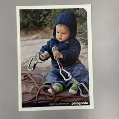 2026年最新】パタゴニアカタログの人気アイテム - メルカリ