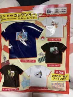 ポケモンTシャツフリーサイズ、キーホルダーのサムネイル
