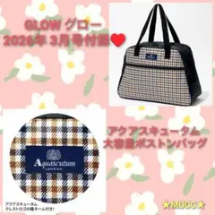 GLOW グロー3月号付録　Aquascutum　 大容量ボストンバッグ♥