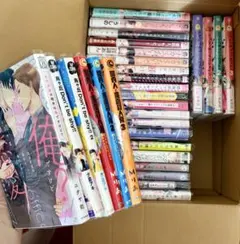 BL漫画 まとめ売り 30冊 セット