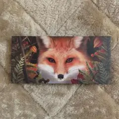 パーフェクトダイアリー　12色アイシャドウパレット13赤狐