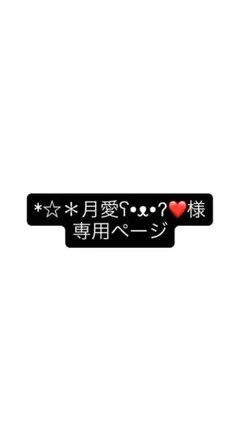 *☆＊月愛ʕ•ᴥ•ʔ❤️ 専用ページ