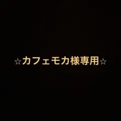 〜カフェモカ様専用〜
