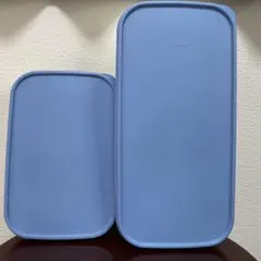 タッパーウェア SSセット（中）（2個）すのこ1枚付【冷蔵・冷凍