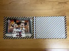 東京ディズニーシー ホテルミラコスタ クリスマス フォト　2019