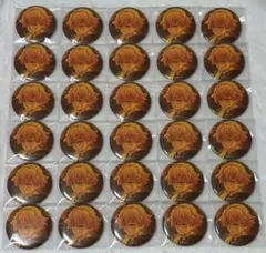 鬼滅の刃 我妻善逸 キービジュアル 缶バッジ 30点