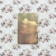 あおねこ様 ご専用ページ