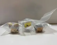 びっくらたまご SKZOO ふろふちころりん