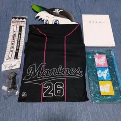 千葉ロッテマリーンズ グッズまとめ売り