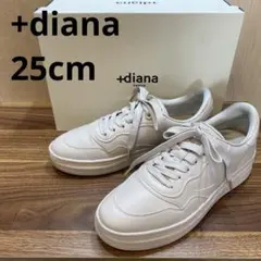 +diana スニーカー リサイクルジンコウスムース　グレージュ　25cm