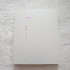 BTS Memories of 2017 日本語字幕