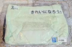 Item thumbnail for item 9d1d79a3-7066-46e5-a052-f6ff518938e1