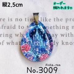 同梱値引100円❤️No.3010 レジン ペンダントトップ 猫 ネコ ねこ