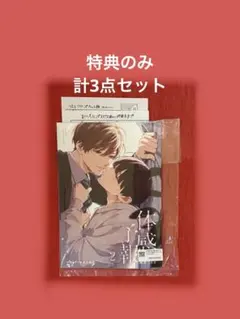 特典のみ‼️体感予報　2巻 鯛野ニッケ　アニメイト12P小冊子　ペーパー2種