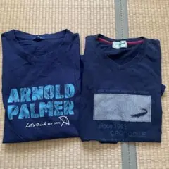 ARNOLD PALMER crocodile Tシャツ　セット