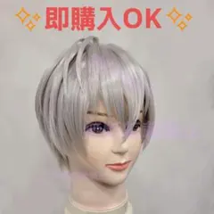 ✨即購入OK✨イブラヒム　にじさんじ　コスプレ　ウィッグ