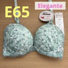 Elegante 花柄刺繍　E65 新品　ブラジャー ミント　グリーン系のサムネイル