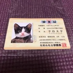 Item thumbnail for item b486c8fd-9815-40b4-8331-486fe2949162