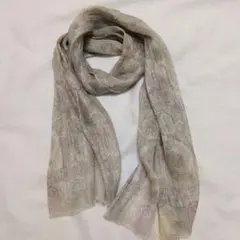 ETRO Milano ペイズリー柄 シルクシフォンストール ブルー系 - メルカリ
