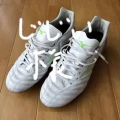 Item thumbnail for item 3fe329bd-6bff-43f9-9e9b-b38a41dd6559