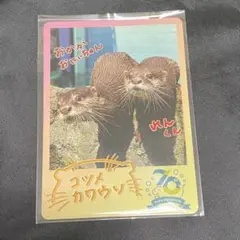 2025年最新】鳥羽水族館70周年の人気アイテム - メルカリ