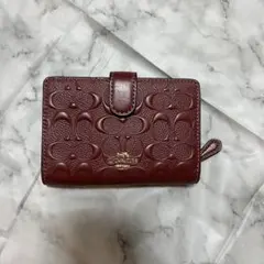 Item thumbnail for item b2663a1d-1e3c-4335-af2a-e579e5857253