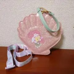 チケットホルダー　アリエル　フランダー　東京ディズニーシー　ディズニー