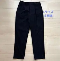 ユニクロ　ヒートテックタックパンツ　丈標準