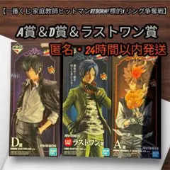 一番くじ 家庭教師ヒットマンREBORN A賞 D賞 ラストワン賞 フィギュア