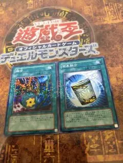 遊戯王 融合 簡易融合 DTデュエルターミナル