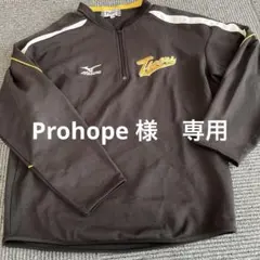 Item thumbnail for item a20da8cc-684e-4e5a-ab33-df69c6511bca