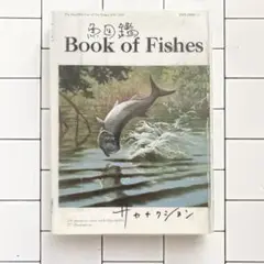 サカナクション 魚図鑑