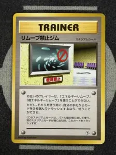 【10点2500円引き】 リムーブ禁止ジム ★ リーダーズスタジアム