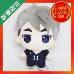 ぷちっしゅ！ ハイキュー!! vol.2 【宮治】