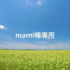 ★ mami様専用★ナースオーガナイザー　ペンケースのサムネイル