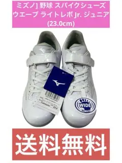 Item thumbnail for item 1ec5fb61-c16a-477a-a2bd-e0b0a925efb6