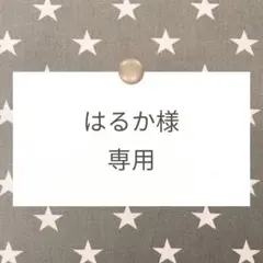はるか様専用【巾着/ランチョンマット/体操着袋/お弁当袋】ハンドメイドオーダー
