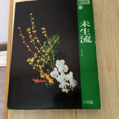 2026年最新】未生流、の人気アイテム - メルカリ