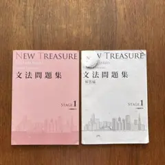 2026年最新】new treasure stage1 文法問題集の人気アイテム - メルカリ