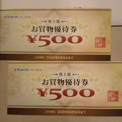 YAMADA HLDGS. お買物優待券 500円券2枚