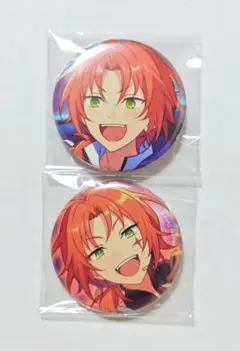 あんスタ 缶バッジ Knights 月永レオ④