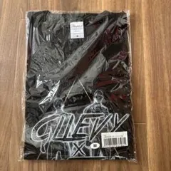 C&K 10周年記念ツアーTシャツ ブラック Mサイズのサムネイル