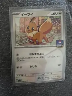 未開封 ポケモンカードゲーム PROMO プロモ ジガルデ178/SM-P - メルカリ