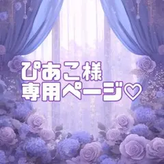 ぴあこ様 リクエスト 2点 まとめ商品