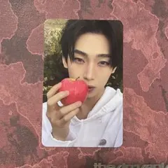 ENHYPEN THE SIN : VANISH ソヌ fugitives